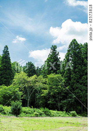 里山を走る夏空の真岡鉄道沿線 里山を走る夏空の真岡鉄道沿線 82573818