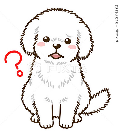 疑問に思うトイプードル 白 のイラスト素材