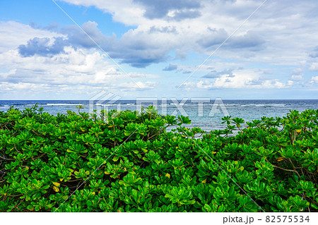 沖縄 伊計島最北端の海辺（沖縄県うるま市） 82575534