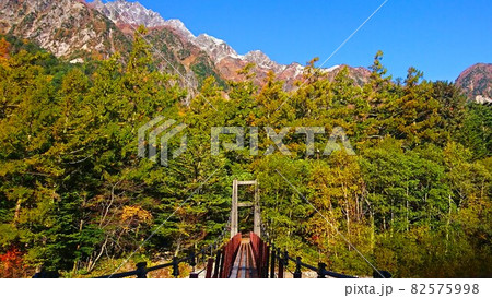 新村橋からの秋景色 82575998