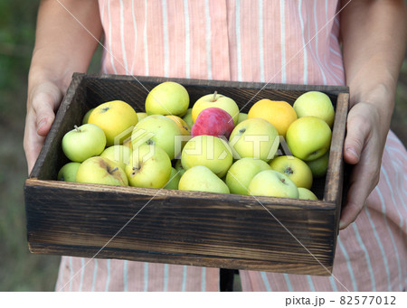 woman holding wooden box with sweet apples in her hands. Concept of fresh and organic harvest. Idea of healthy eating 82577012
