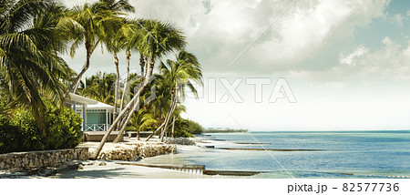 Panorama with beachfront bungalow under palm trees Panorama with beachfront bungalow under palm trees 82577736