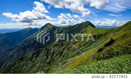 快晴の空と谷川連峰の山並み・天神尾根からの眺め 快晴の空と谷川連峰の山並み・天神尾根からの眺め 82577845