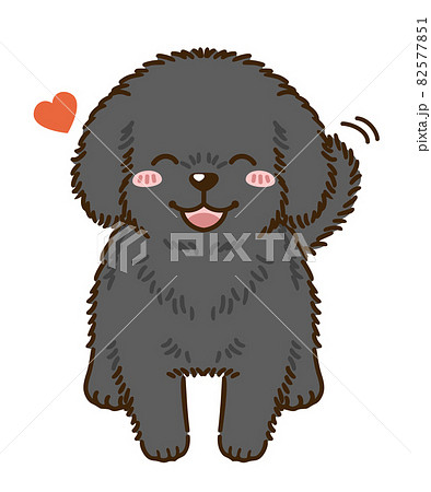 懐くトイプードル 黒 のイラスト素材
