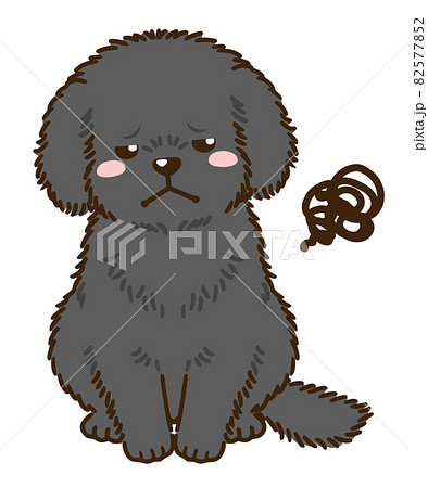 不満があるトイプードル 黒 のイラスト素材