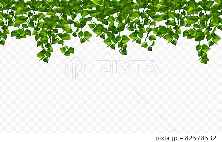 House Realistic Plants House Realistic Plants 82578532