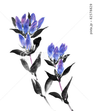 【真作】絵画　日本画6号　竜胆（リンドウ）図　清らかな群青の植物画　W108 真作】絵画 日本画6号 竜胆（リンドウ）図 清らかな群青の植物画