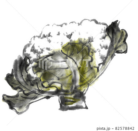 水墨画技法で描かれたカリフラワー 水墨画技法で描かれたカリフラワー 82578842
