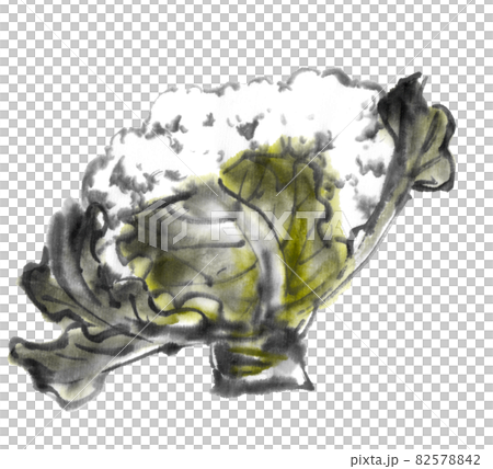 水墨画技法で描かれたカリフラワー 水墨画技法で描かれたカリフラワー 82578842
