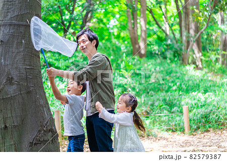 虫採りをするお父さんと子どもたち 虫採りをするお父さんと子どもたち 82579387