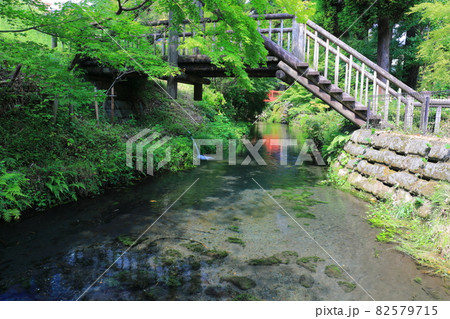 【熊本県】白川水源 【熊本県】白川水源 82579715