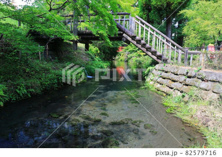 【熊本県】白川水源 82579716