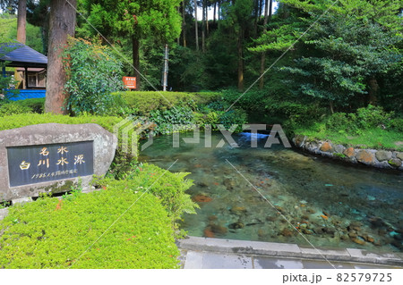 【熊本県】白川水源 【熊本県】白川水源 82579725