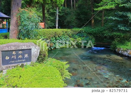 【熊本県】白川水源 【熊本県】白川水源 82579731