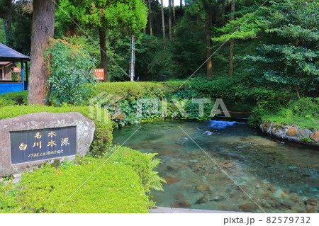 【熊本県】白川水源 【熊本県】白川水源 82579732