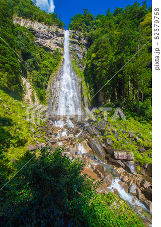 和歌山県　夏の那智滝 82579768