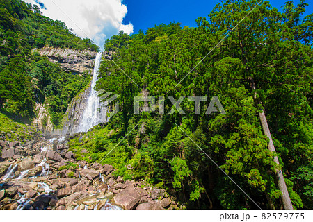 和歌山県　夏の那智滝 82579775