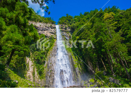 和歌山県 夏の那智滝 和歌山県 夏の那智滝 82579777