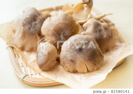 天然きのこ ハタケシメジ 天然きのこ ハタケシメジ 82580141