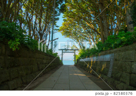 海が見える鳥居 82580376