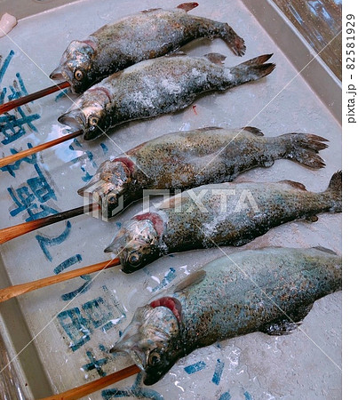 鮎の塩焼き 鮎の塩焼き 82581929