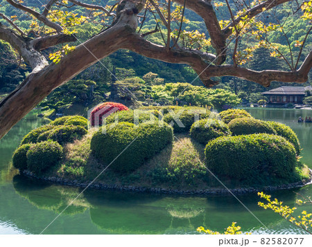 春の栗林公園(4月中旬・恋ツツジ) 春の栗林公園(4月中旬・恋ツツジ) 82582077