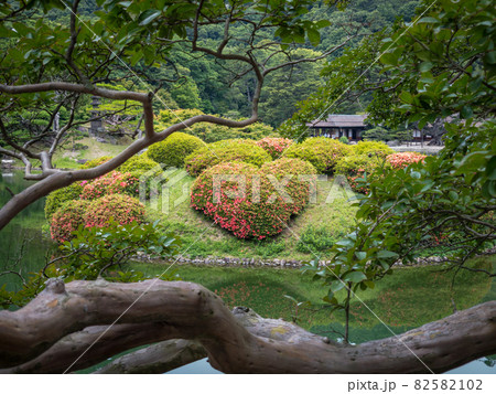 初夏の栗林公園（6月上旬・恋ツツジ） 82582102