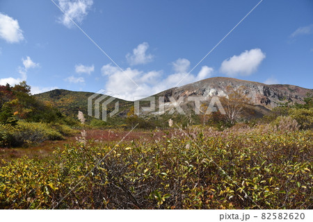 浄土平の紅葉 浄土平の紅葉 82582620