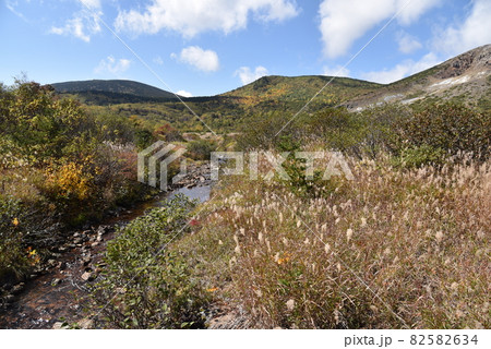 浄土平の紅葉 浄土平の紅葉 82582634
