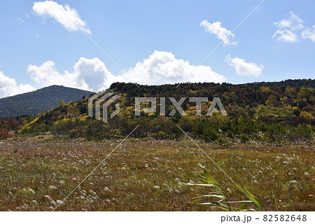 浄土平の紅葉 浄土平の紅葉 82582648