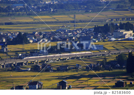 終焉近い上越新幹線E4系Maxと黄金色の魚沼の田園風景 82583600