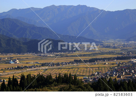 終焉近い上越新幹線E4系Maxと黄金色の魚沼の田園風景 82583603