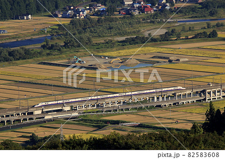 終焉近い上越新幹線E4系Maxと黄金色の魚沼の田園風景 82583608