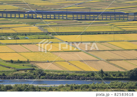 終焉近い上越新幹線E4系Maxと黄金色の魚沼の田園風景 終焉近い上越新幹線E4系Maxと黄金色の魚沼の田園風景 82583618