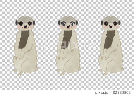 かわいいミーアキャットの立ち姿のイラストセット 82583802