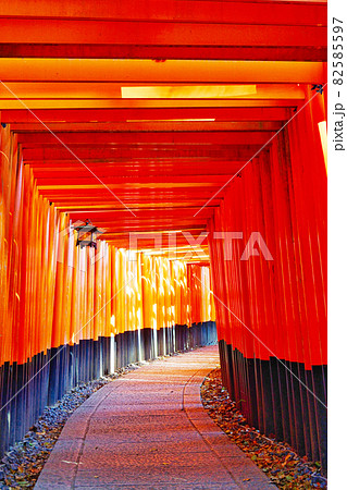 京都 伏見稲荷大社の千本鳥居 82585597