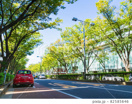 東京　表参道 82585646