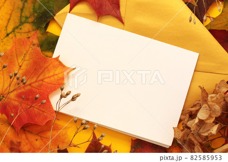 empty card mockup with autumn leaves and dry flowers empty card mockup with autumn leaves and dry flowers 82585953