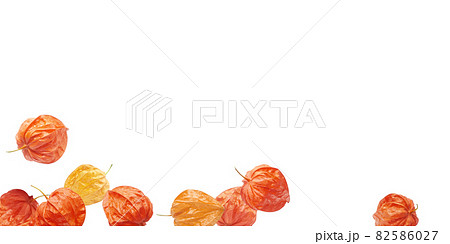 ほおずき 鬼灯 イラスト リアル セット ほおずき 鬼灯 イラスト リアル セット 82586027