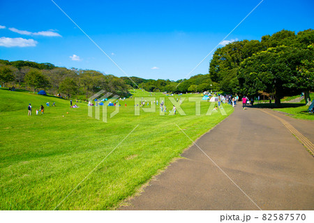 根岸森林公園・横浜 82587570