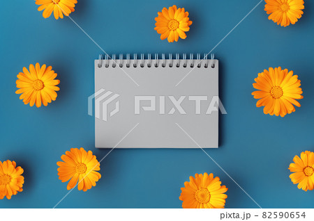 Beautiful background with opened blank spiral notepad framed with orange marigold flowers pattern on blue backdrop. Backdrop for your design. Flat lay style. Copy space. 82590654
