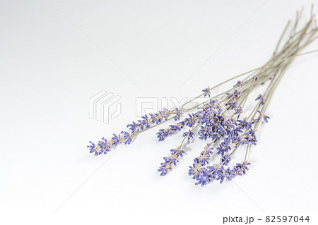 Dried lavender flowers on a white background. Dried lavender flowers on a white background. 82597044