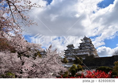日本の兵庫県の姫路市 世界遺産で国宝でもある姫路城 春の桜と青空と立派な天守閣 日本の兵庫県の姫路市 世界遺産で国宝でもある姫路城 春の桜と青空と立派な天守閣 82600836