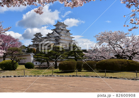 日本の兵庫県の姫路市 世界遺産で国宝でもある姫路城 春の桜と青空と立派な天守閣 日本の兵庫県の姫路市 世界遺産で国宝でもある姫路城 春の桜と青空と立派な天守閣 82600908