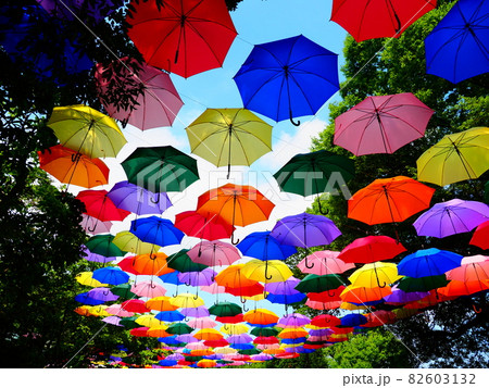 館林市役所　アンブレラスカイ 82603132