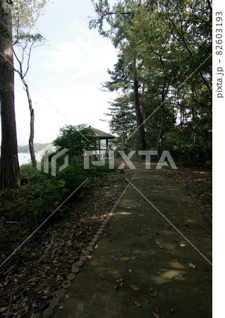 鳥取　四季の散歩　秋　青島 82603193