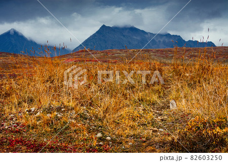 Autumn arctic landscape of tundra and mountains Autumn arctic landscape of tundra and mountains 82603250