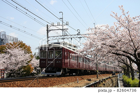 阪急6000系（元2200系編入車両）と沿線の桜 82604736