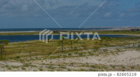 The view of Dauphin Beach and boardwalk on Dauphin Island, Mobile County, Alabama 82605219
