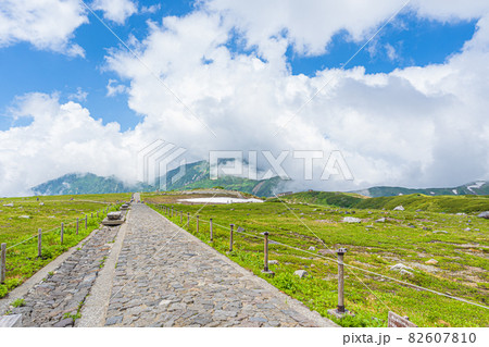 《富山県 黒部立山》室堂から望む夏の風景 《富山県 黒部立山》室堂から望む夏の風景 82607810